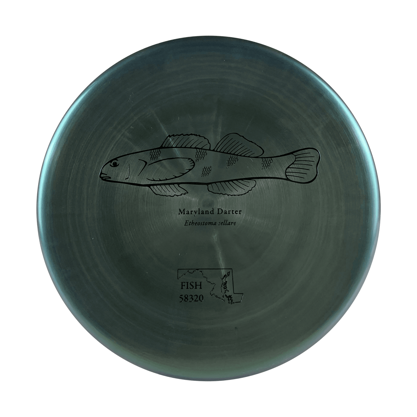 ESP Zone - Andrew Fish Maryland Darter Stamp Disc Discraft metallic green 173