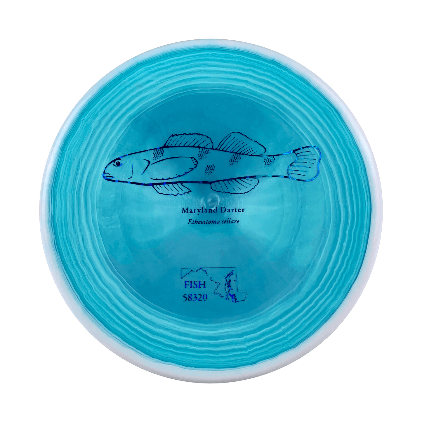 ESP Zone - Andrew Fish Maryland Darter Stamp Disc Discraft multi / blue grey 173 
