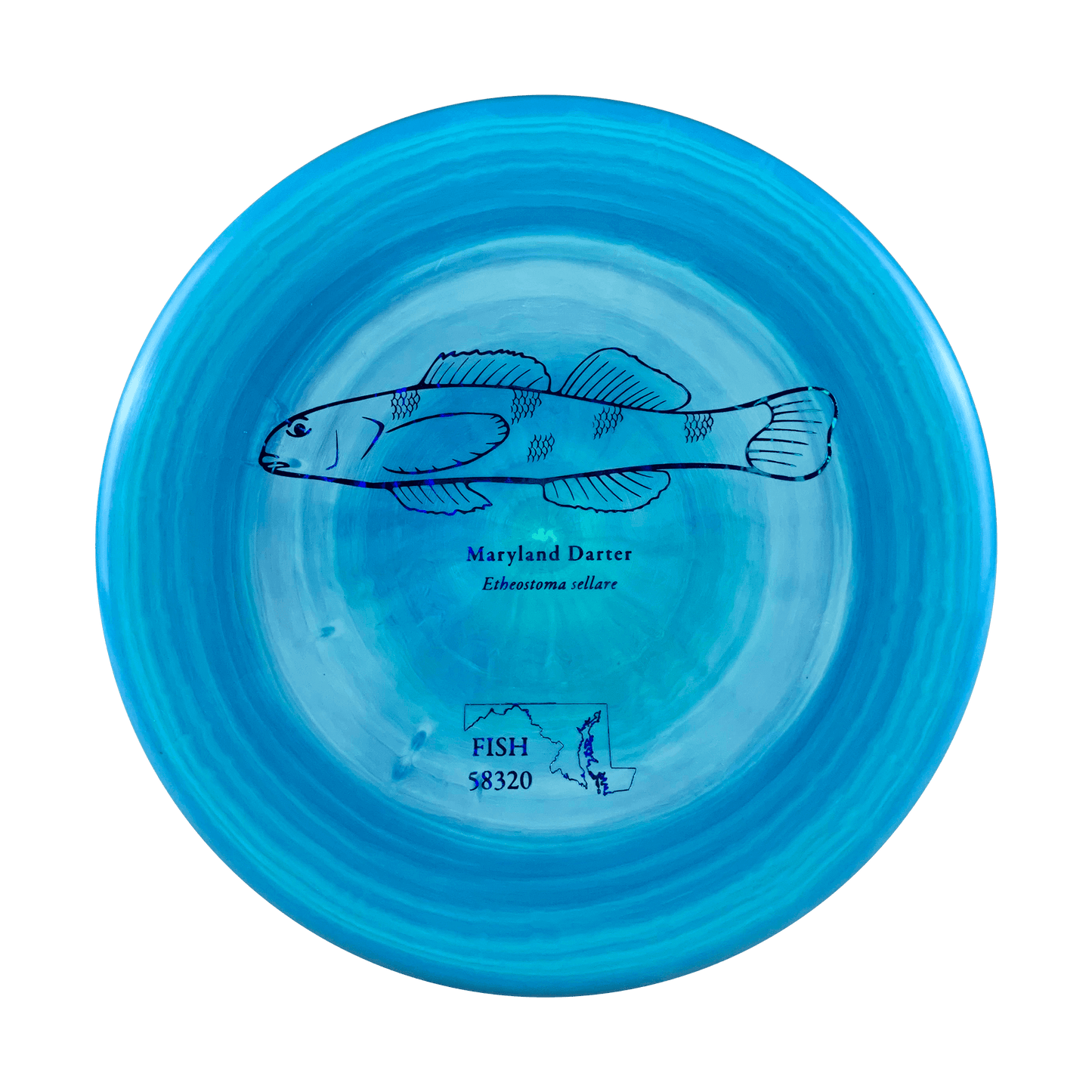 ESP Zone - Andrew Fish Maryland Darter Stamp Disc Discraft multi / blue 173 