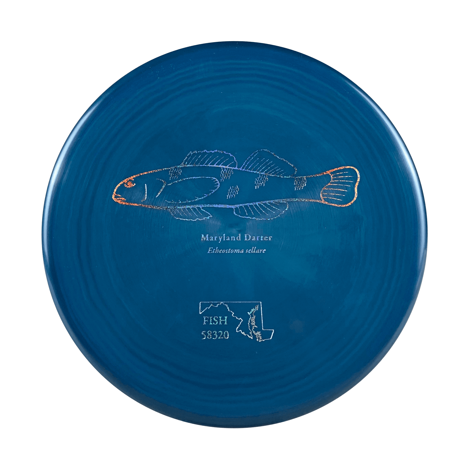 ESP Zone - Andrew Fish Maryland Darter Stamp Disc Discraft multi / dark blue 173 