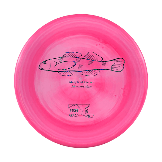 ESP Zone - Andrew Fish Maryland Darter Stamp Disc Discraft multi / hot pink 173 