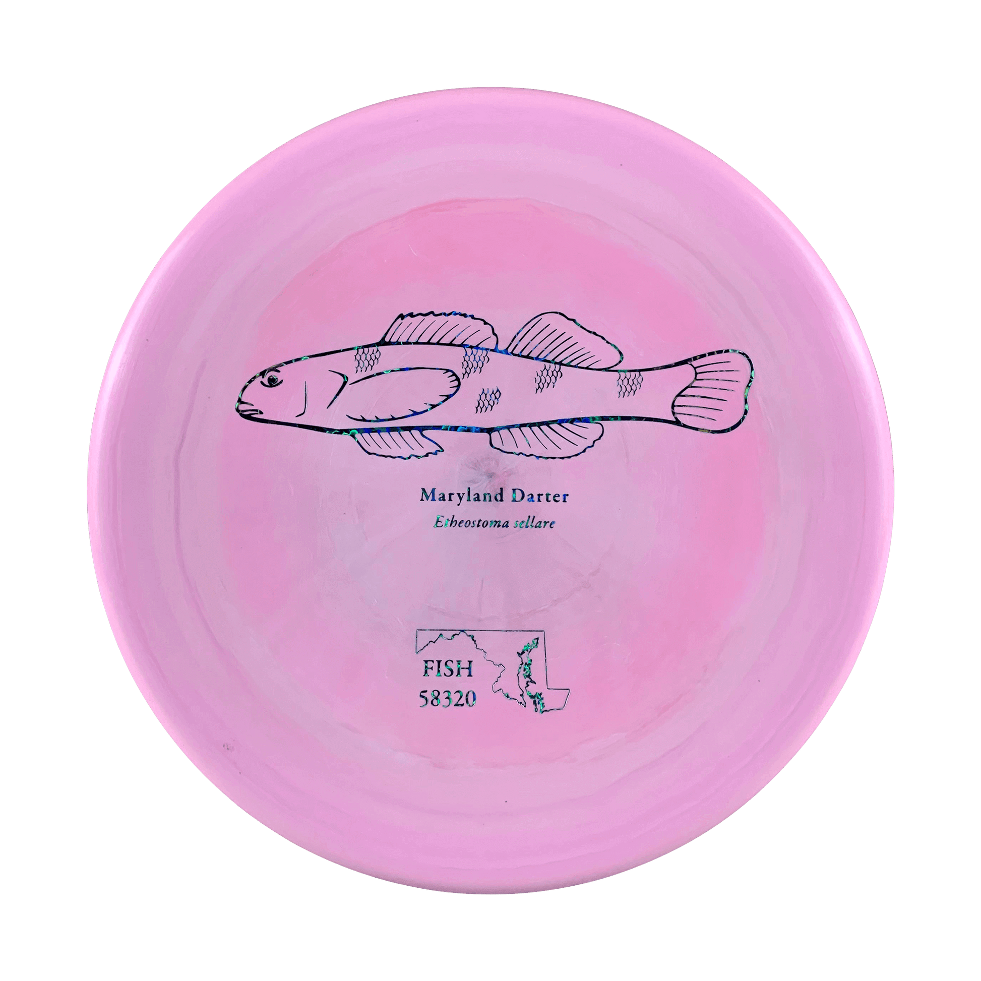 ESP Zone - Andrew Fish Maryland Darter Stamp Disc Discraft multi / light pink 173 