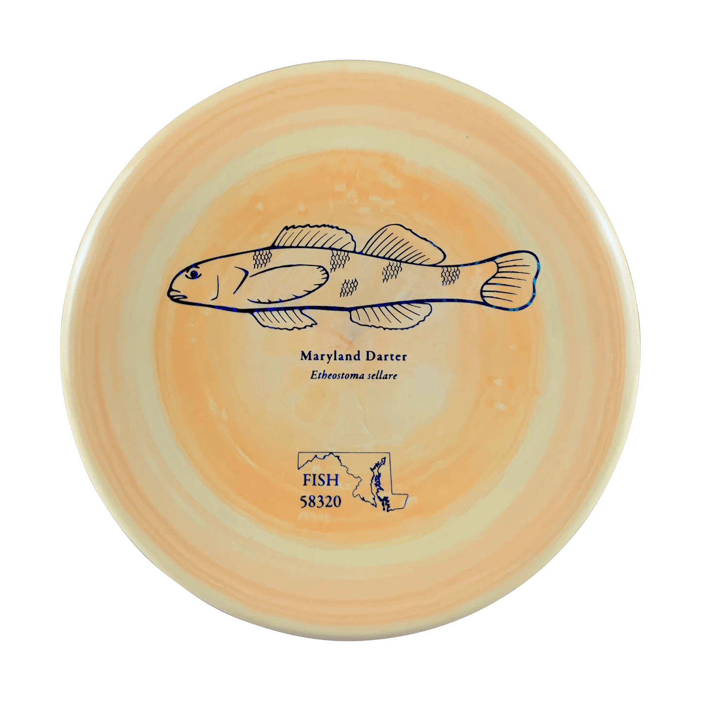 ESP Zone - Andrew Fish Maryland Darter Stamp Disc Discraft multi / orange yellow 173 