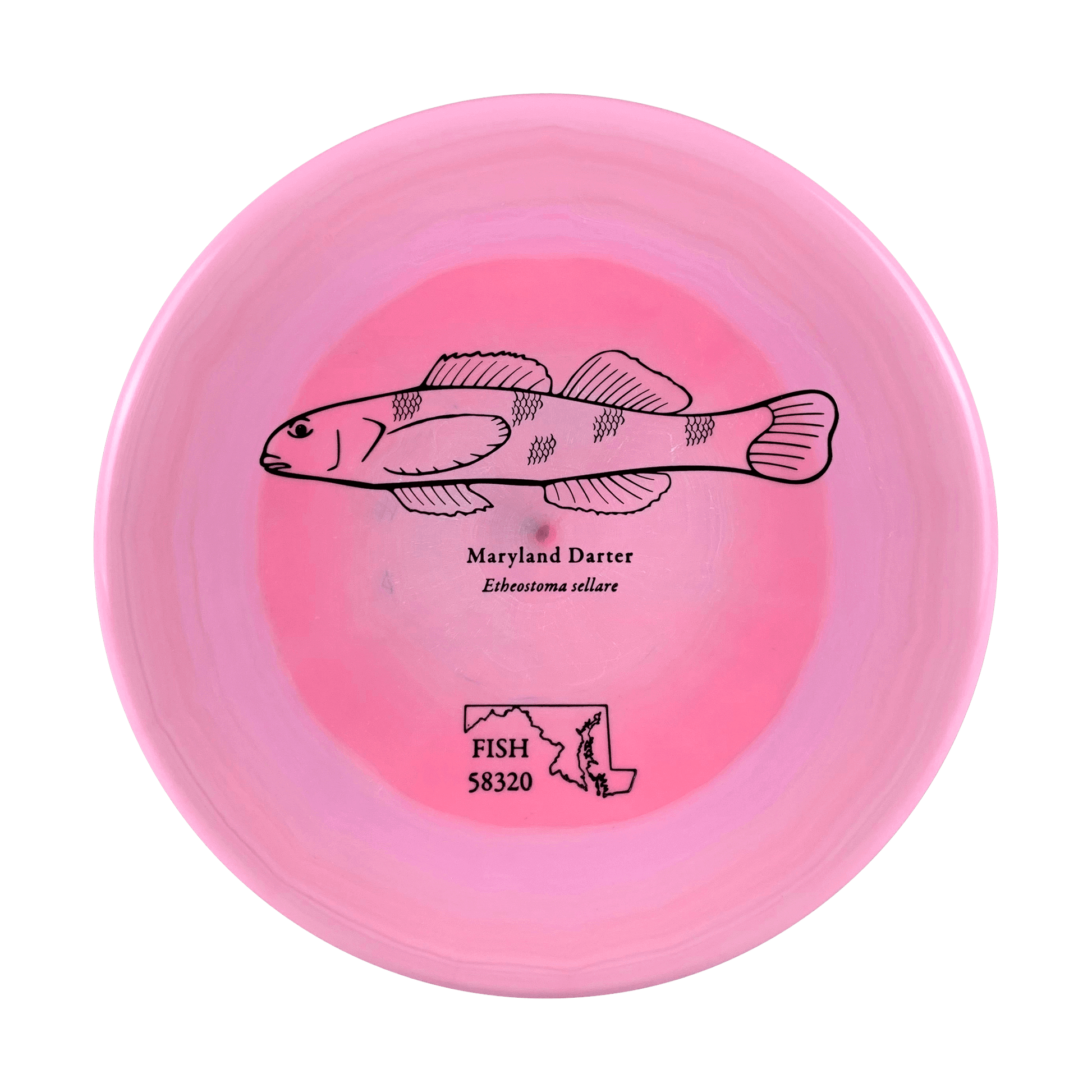 ESP Zone - Andrew Fish Maryland Darter Stamp Disc Discraft multi / pink 173 