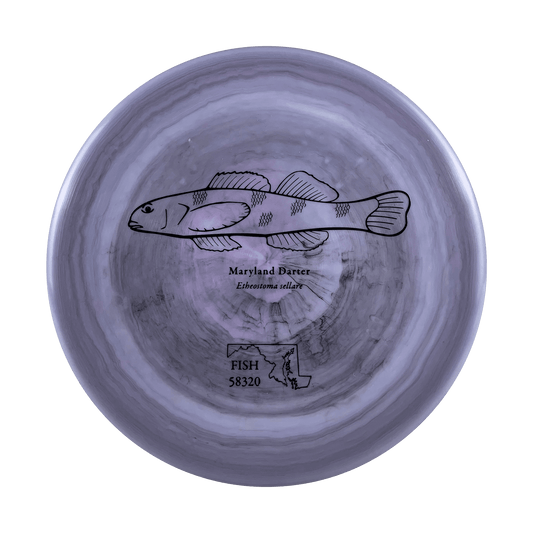 ESP Zone - Andrew Fish Maryland Darter Stamp Disc Discraft multi / purple black 173 