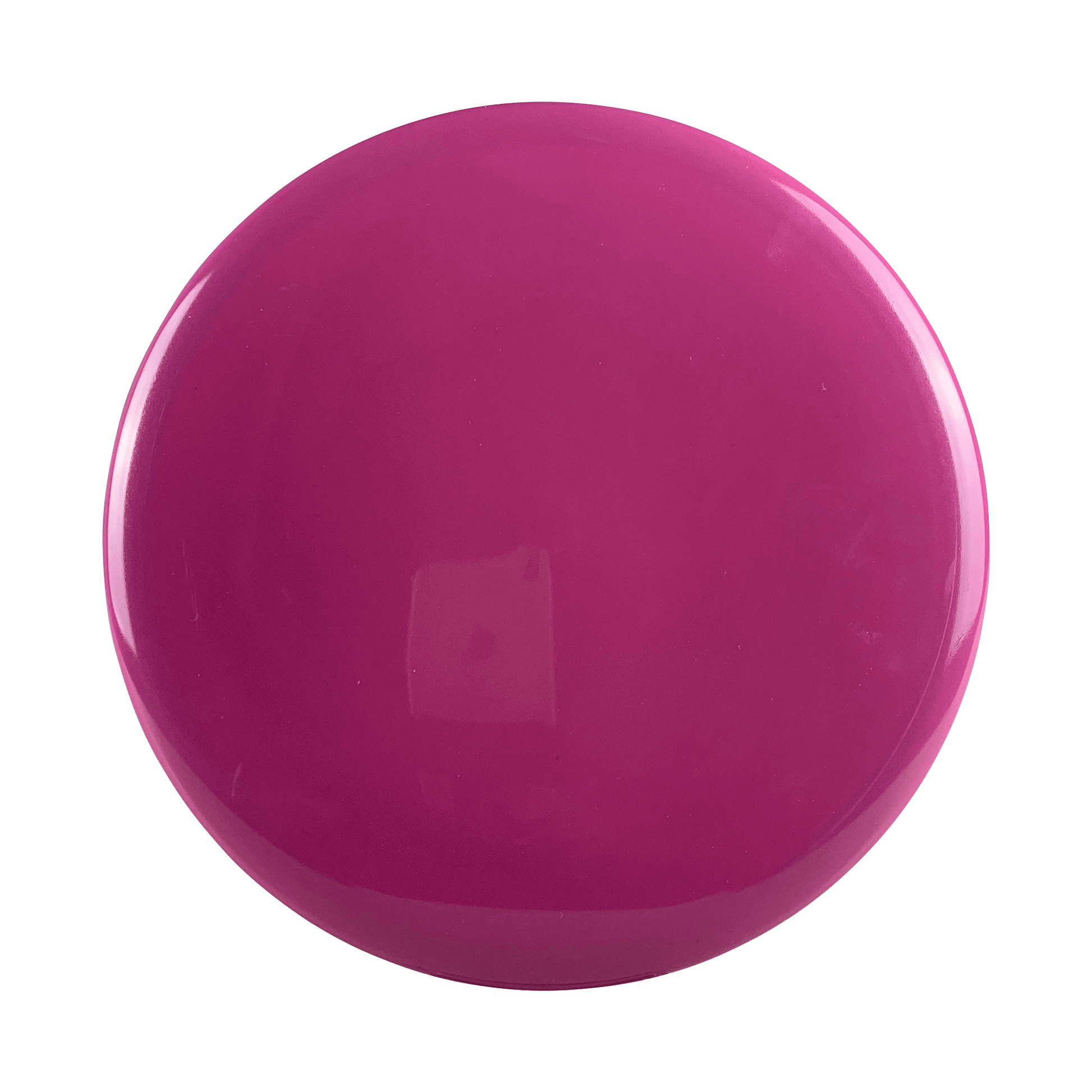 Neutron Echo - Blank Disc Streamline purple 176 