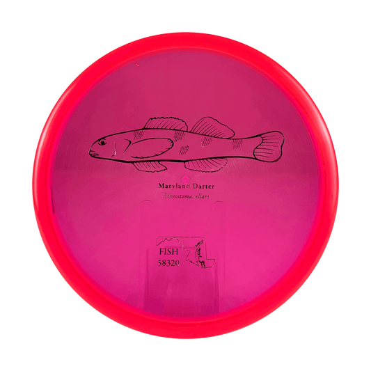 Z Zone - Andrew Fish Maryland Darter Stamp Disc Discraft hot pink 173 
