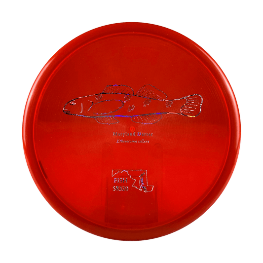 Z Zone - Andrew Fish Maryland Darter Stamp Disc Discraft red 173 